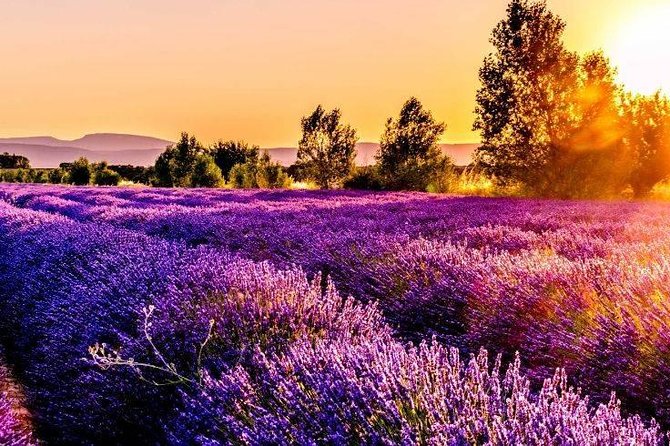 Nice: Gorges of Verdon and Fields of Lavender Tour - Getting from Nice: pickup windows and the rhythm of a 9-hour day