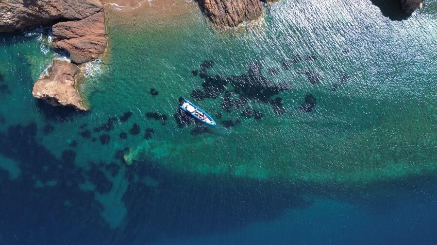 Nice: Lerins Islands Boat Tour with Snorkeling - Key things I’d watch for