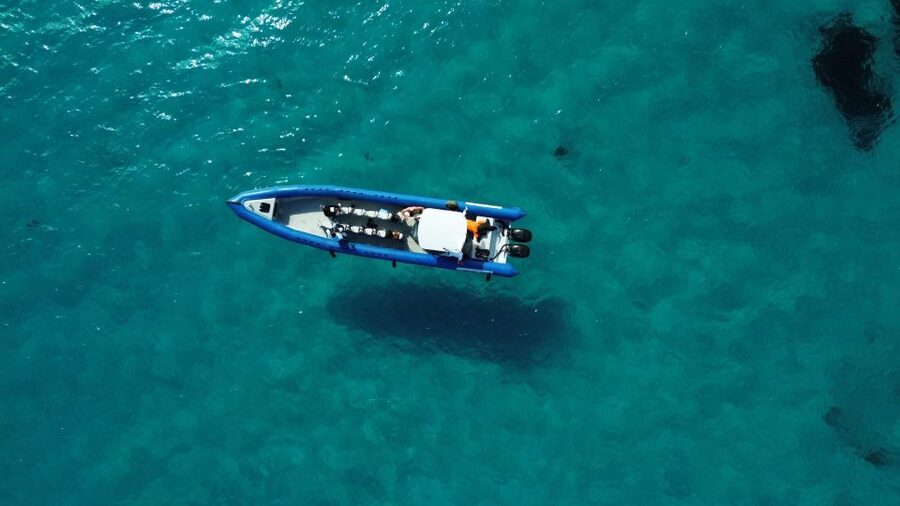 Nice: Lerins Islands Boat Tour with Snorkeling - Sainte-Marguerite Island, your time on land