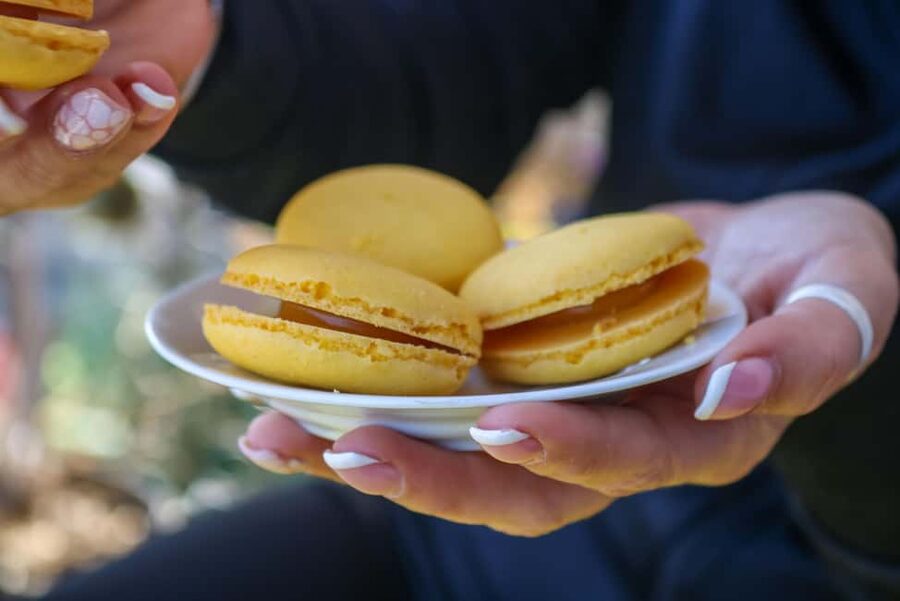 Nice: Old Town Food Walking Tour - Price and value: why 141 dollars can make sense here