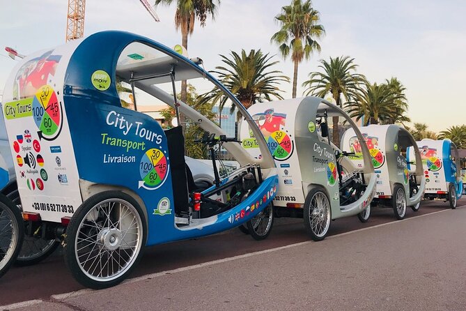 Nice: private guided Tour by electric taxi bike - Market aromas, palm-tree pauses, and the viewpoint detour
