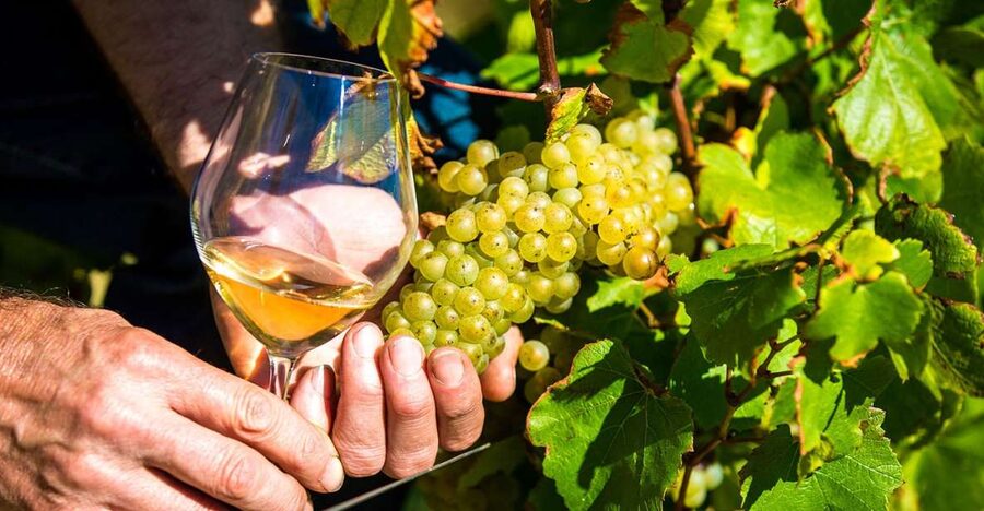 Nice: Provence Village Tour with Wine and Produce Tasting - Setting Off From Nice in an Air-Conditioned Minivan