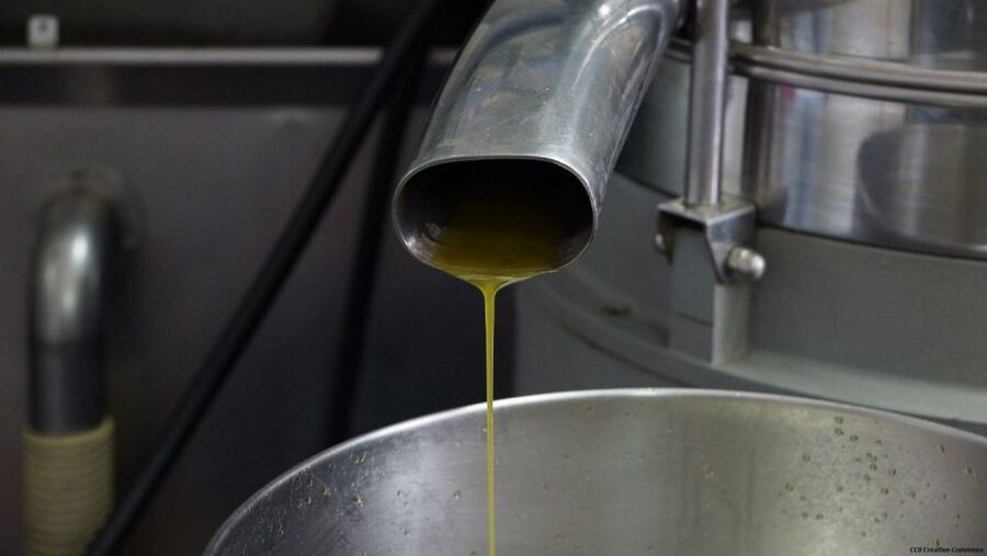 Nice: Provence Village Tour with Wine and Produce Tasting - Opio, Olive Groves, and a Working 15th-Century Oil Mill