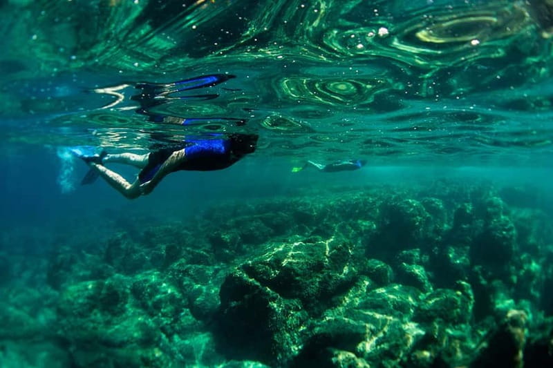 Nice: Snorkeling Speedboat Tour in Villefranche Bay - Key things I’d prioritize on this tour