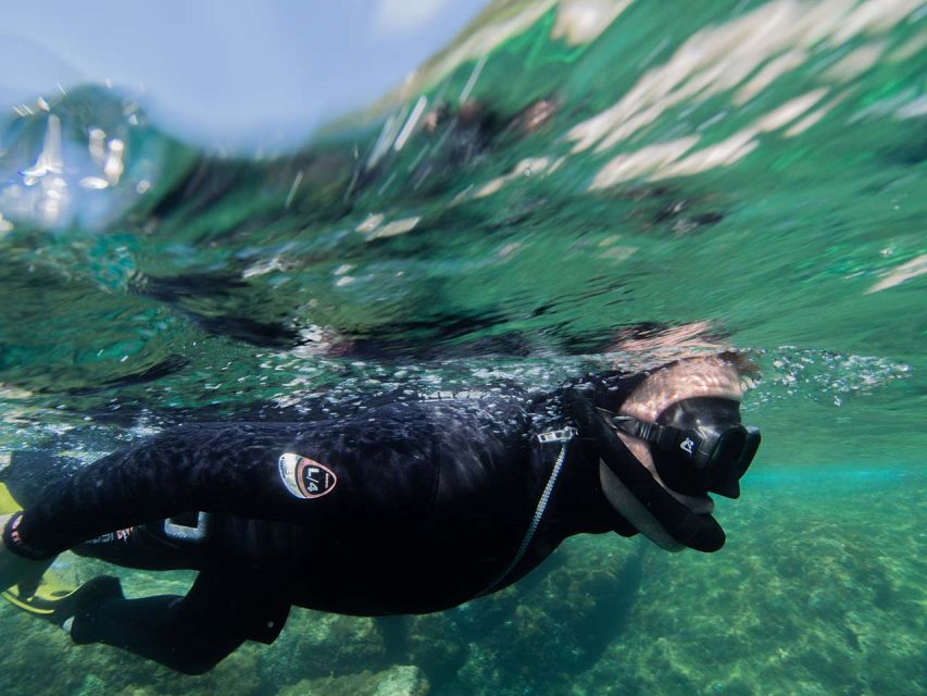 Nice: Snorkeling Speedboat Tour in Villefranche Bay - The biggest limit: who this is (and isn’t) for