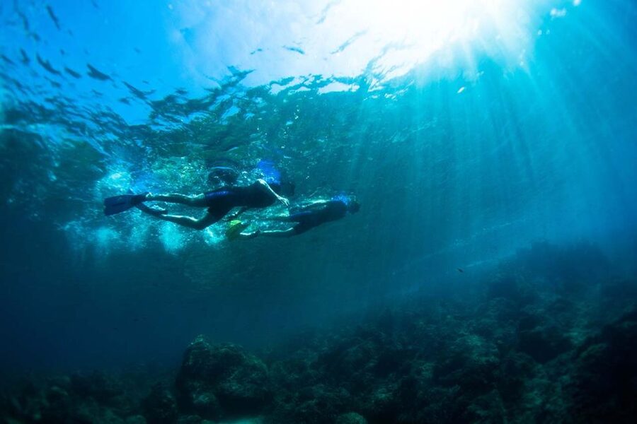 Nice: Snorkeling Speedboat Tour in Villefranche Bay - What to do before you go (so you enjoy the hour in the water)