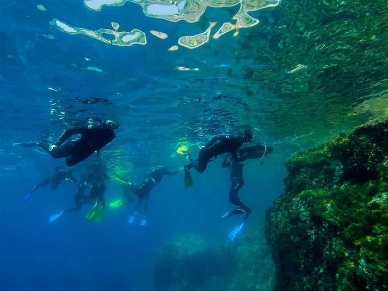 Nice: Snorkeling Speedboat Tour in Villefranche Bay - Meeting at Chango Diving, and getting your kit sorted fast