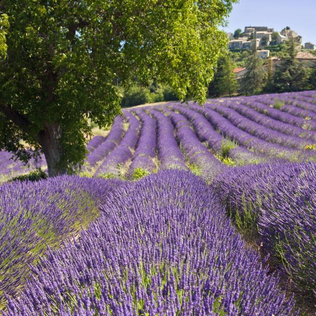Nice: The Gorges du Verdon and Ste Croix Lake Full-Day Tour - Sainte-Croix Lake, the part you feel in your legs and lungs