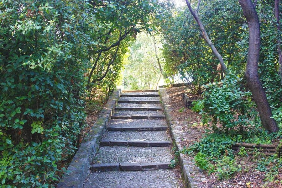 Nice: Theatrical History Tour - Secrets of the Castle Hill - Should you book the Secrets of the Castle Hill theatrical tour?