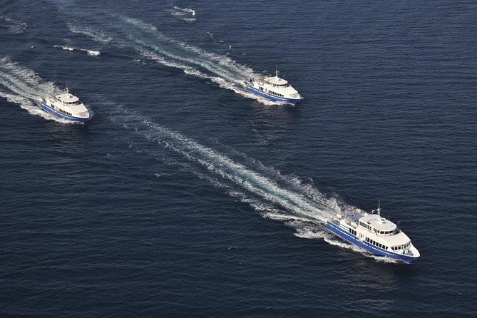 Nice to St Tropez Ferry Ticket and Cruise - Musée de l’Annonciade and Beach-Time Choices