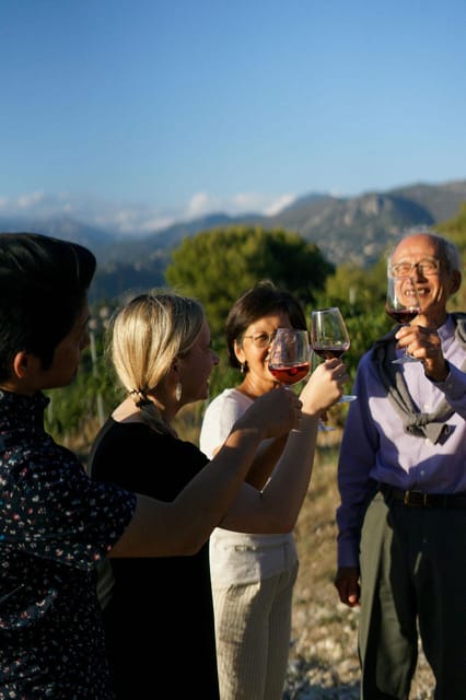 Nice: Vineyard Tour with Wine Tasting - Key highlights you will actually care about