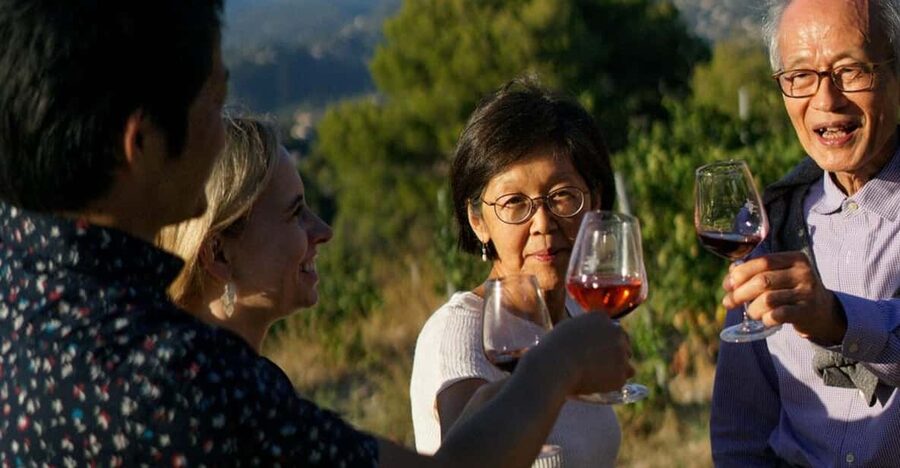 Nice: Vineyard Tour with Wine Tasting - Château de Bellet: the Nice-area vineyard with serious views