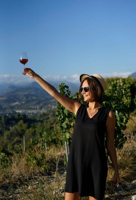 Nice: Vineyard Tour with Wine Tasting - The 1-hour vineyard tour: what your guide shows you and why it matters