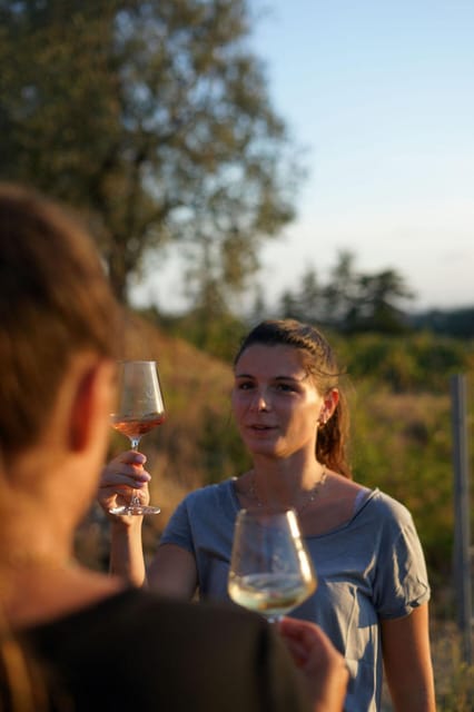 Nice: Vineyard Tour with Wine Tasting - Price and value: does $38 really add up?