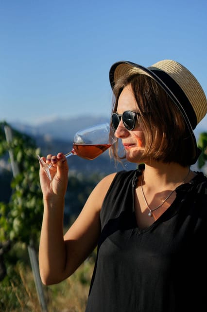 Nice: Vineyard Tour with Wine Tasting - Who should book this and who might skip it