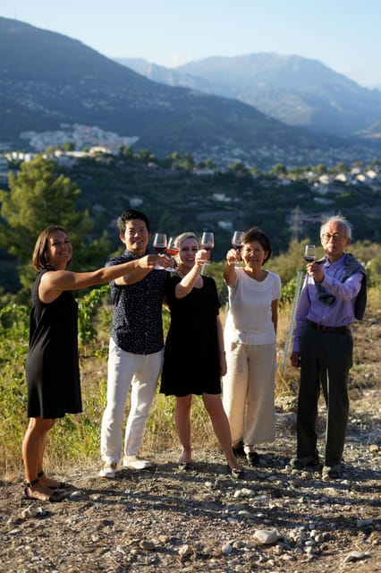 Nice: Vineyard Tour with Wine Tasting - Should you book this Château de Bellet vineyard tour?