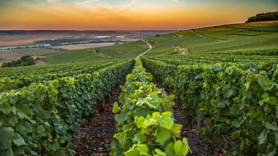 Organic Wine Tasting with Saint paul Half Day Tour from Nice - Arriving at Saint-Jeannet for organic wine tasting