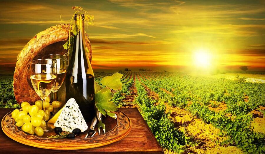 Organic Wine Tasting with Saint paul Half Day Tour from Nice - Saint Paul de Vence: art, views, and the time crunch reality