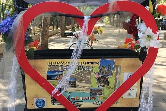 Original Nice city tour ( pedicab-vélo taxi) - Museums and gardens from the road, then the story of Nice’s flower market