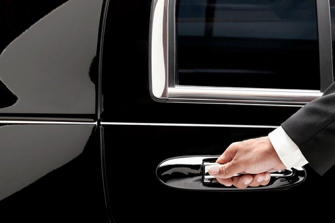 Private Arrival Transfer: Nice Airport to Hotel - Meet-and-greet at Cote d’Azur Airport: finding your driver fast