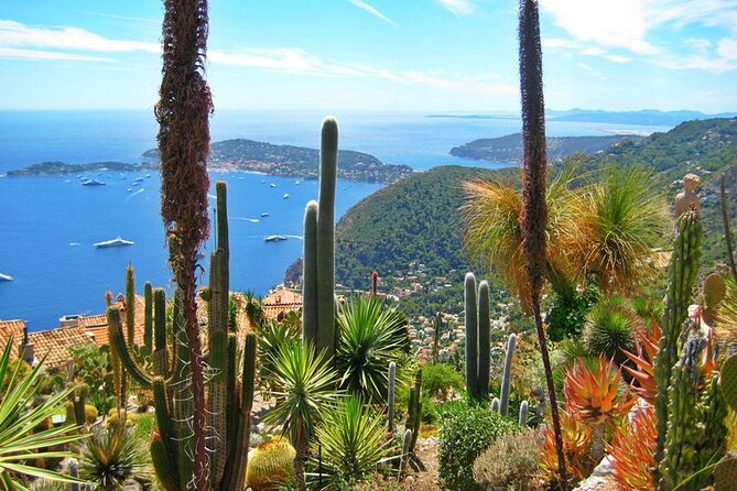 Private Customized French Riviera Tour from Port Villefranche 8H - Cannes: the red-carpet feel, plus what to do in one hour