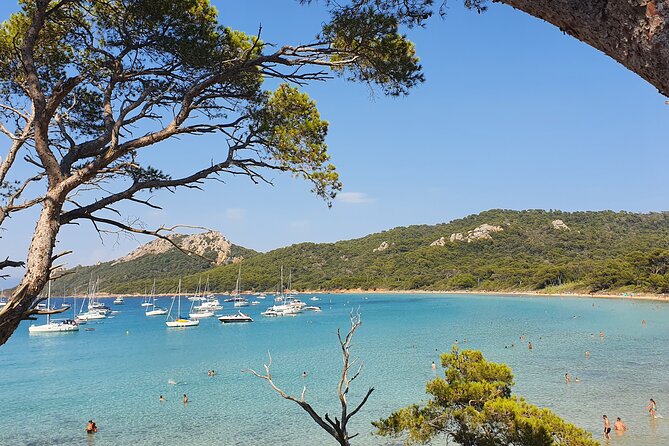 Private full-day boat trip to Porquerolles - Price and value: when $1,363.71 makes sense