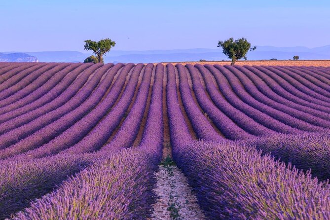 Private Tour of Gorges of Verdon and Fields of Lavender in Nice - Key Things I’d Aim For on This Private Verdon and Lavender Day