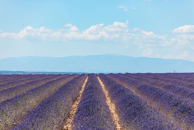 Private Tour of Gorges of Verdon and Fields of Lavender in Nice - Castellane and the Verdon Gorge: The First Big View Hit