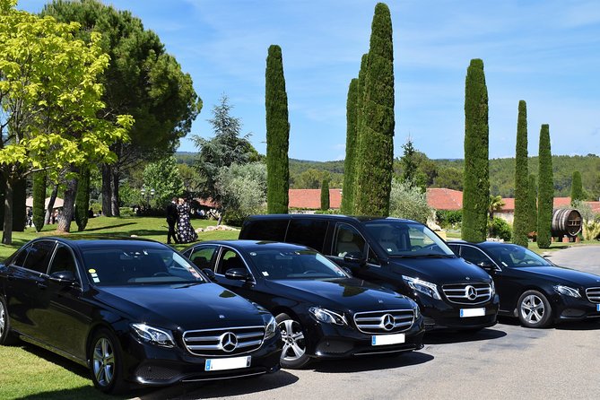 Private Transfer Nice Airport (NCE) to Monaco - Quick Hits: Nice Airport to Monaco in One Ride