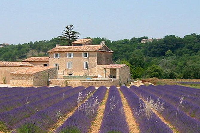 Provence and Lavender - private & Guided Full Day Tour - Key highlights you should know
