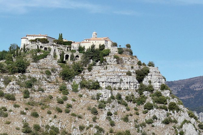 Provence and Lavender - private & Guided Full Day Tour - Who This Provence Lavender Tour Is Best For