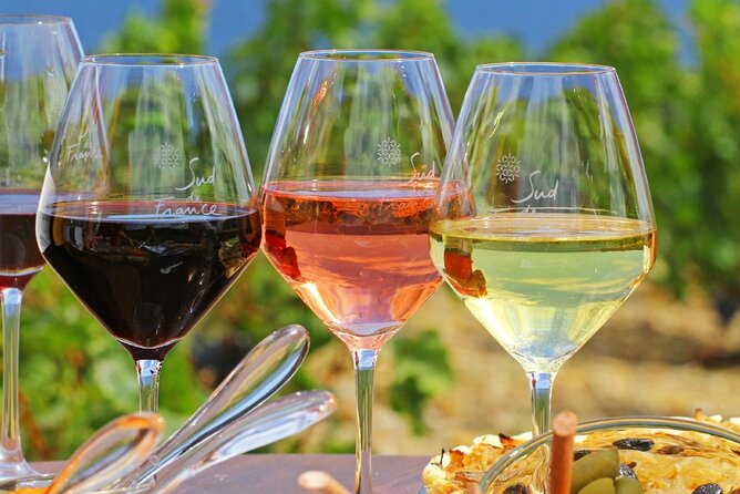 Provence Organic Wine Tasting Half Day Tour from Nice - Key highlights worth your attention