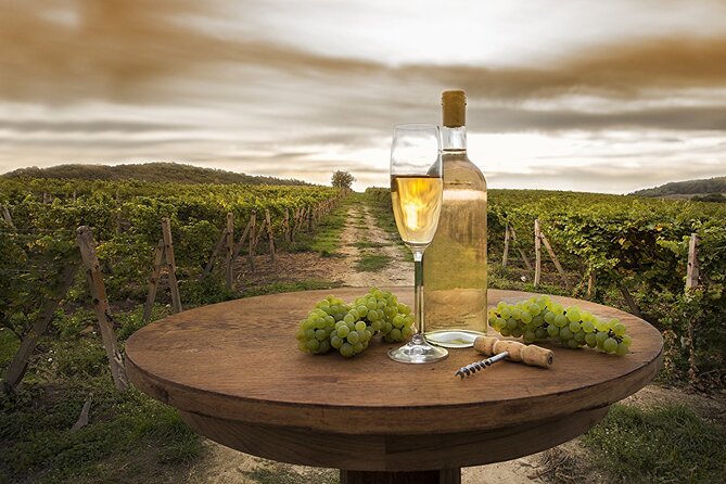 Provence Organic Wine Tasting Half Day Tour from Nice - Nice pickup and timing: how this half-day starts