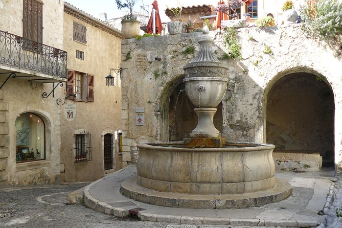 Provence Organic Wine Tasting Half Day Tour from Nice - Group size, language, and the guide-service caveat