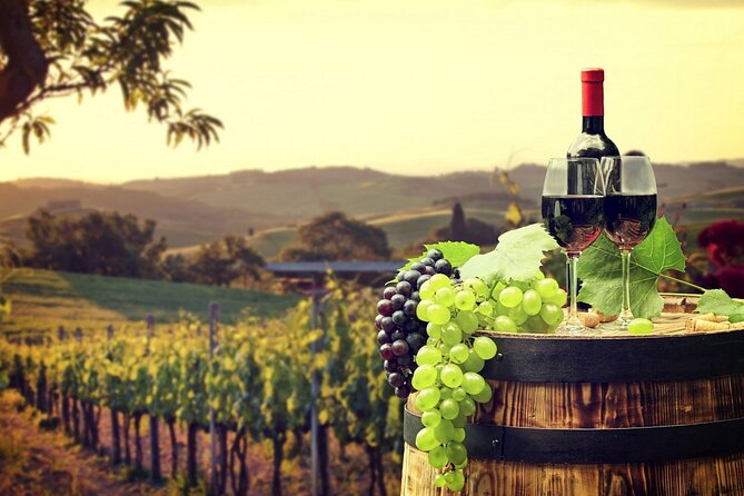 Provence Organic Wine Tasting Half Day Tour from Nice - Saint-Jeannet organic cellar tasting: the part that matters most