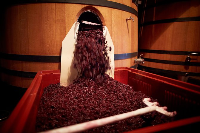 Provence Private Full Day Wine Tour with Wine Tasting - Inside the Three Wine Visits: Chateau St Martin, Font du Broc, Sainte Roselyne