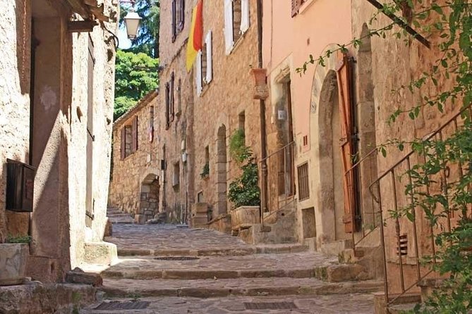 Provence Private Full Day Wine Tour with Wine Tasting - How Wine Tasting Actually Feels on This Kind of Private Tour