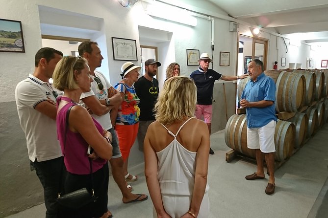 Provence Wine Tour - Private Day Tour from Nice - Lunch choices, and why you may want to plan ahead