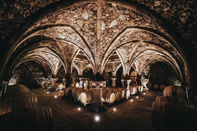 Provence Wine Tour - Small Group Tour from Nice - Estate stop two and stop three: seeing how the region shows up differently