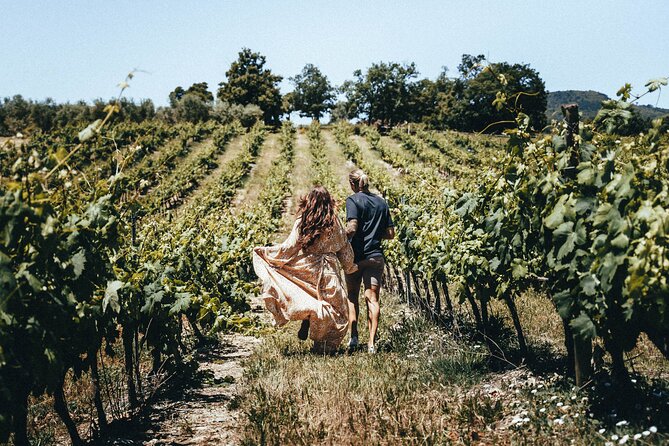 Provence Wine Tour - Small Group Tour from Nice - Price and value: is $187.53 a fair deal?