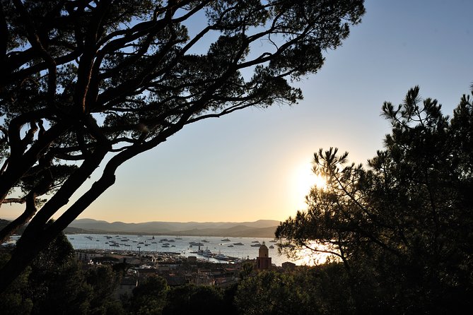 Saint-Tropez and Port Grimaud Day from Nice Small-Group Tour - Small-Group Comfort, Sound Challenges, and What to Do Inside the Van