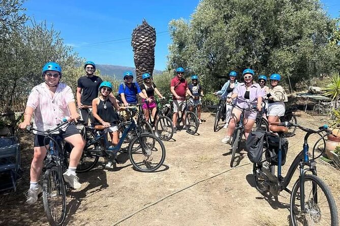 Small Group Guided E-Bike Tour in Nice’s Organic Vineyard - The Bellet hill climb on an e-bike, with help when you need it