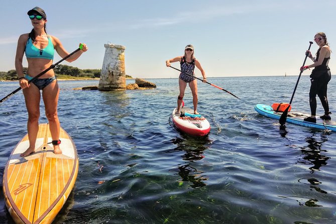 Stand-Up Paddle & Snorkeling with Local Guide near Nice - Key highlights worth your time