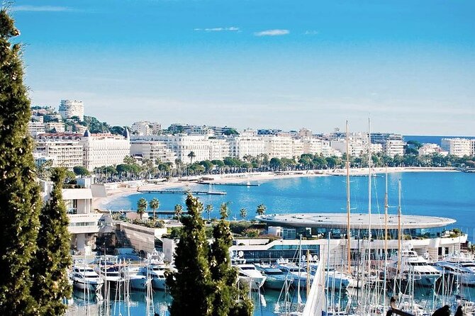 The Best of the French Riviera Small group Guided Tour from Nice - Cannes: La Croisette and the Palais des Festivals red carpet photo moment