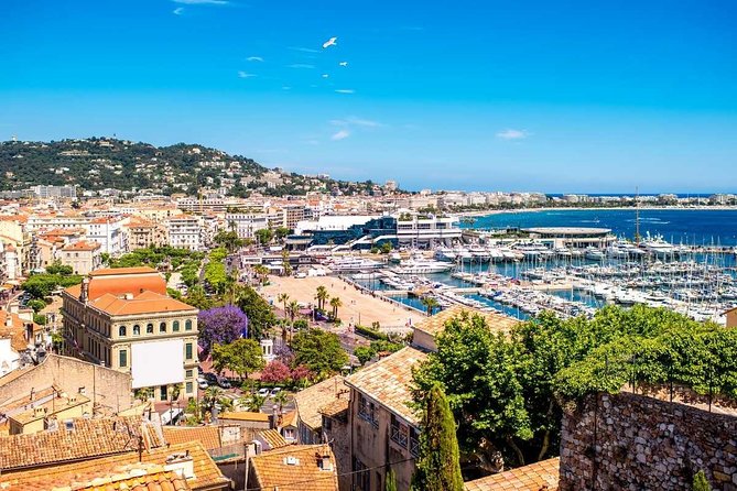 The very best of French Riviera in one day – Cannes, Antibes, Nice, Eze, Monaco - How pickup, private vehicle time, and a mobile ticket keep the day easy