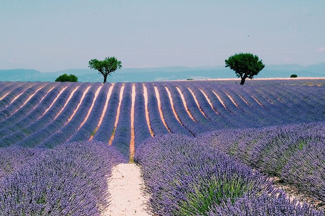 Verdon Gorge: The Grand canyon of Europe, Lake and Lavender - Sainte-Croix-du-Verdon: Photo Stop With Lake Sainte-Croix Overlooks
