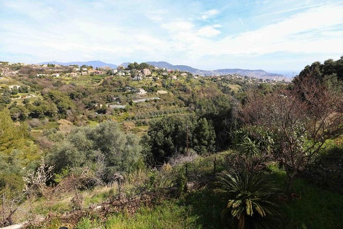 Viator Exclusive: Local Cooking Class & Dinner with View of Nice - Practical tips for a smooth evening at the host’s home