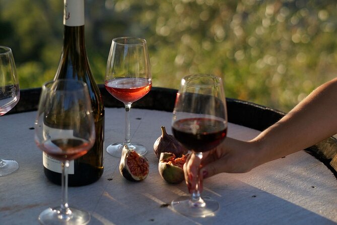 Vineyard Tour with Wine Tasting within Nice city borders - Why Bellet Vineyards Feel Like Nice’s Most Scenic Shortcut