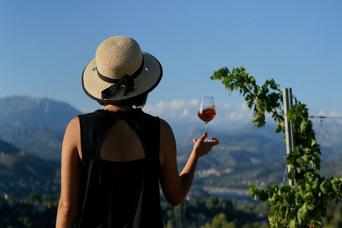 Vineyard Tour with Wine Tasting within Nice city borders - Inside the State-of-the-Art Cellar: From Grapes to Bottles