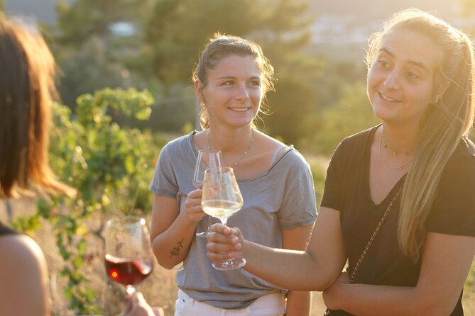 Vineyard Tour with Wine Tasting within Nice city borders - Getting There From Nice: Meeting Point Basics and Practical Transport